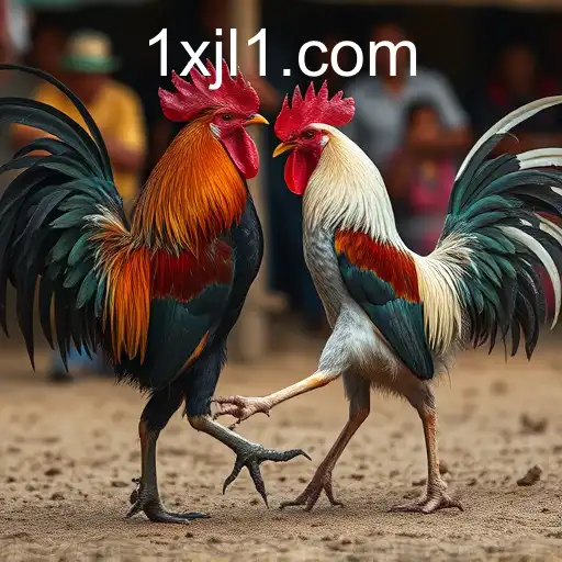 The Controversial World of Cockfighting: A Deep Dive